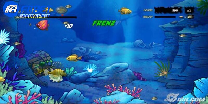 Bắn Cá Koi - Đắm chìm trong đại dương sắc màu và phần thưởng